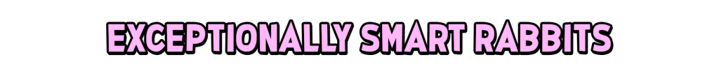 Pink title text reading Exceptionally Smart Rabbits on a black background